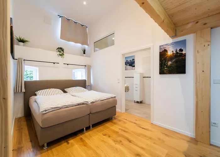 Fuchs * Munster (North Rhine-Westphalia)